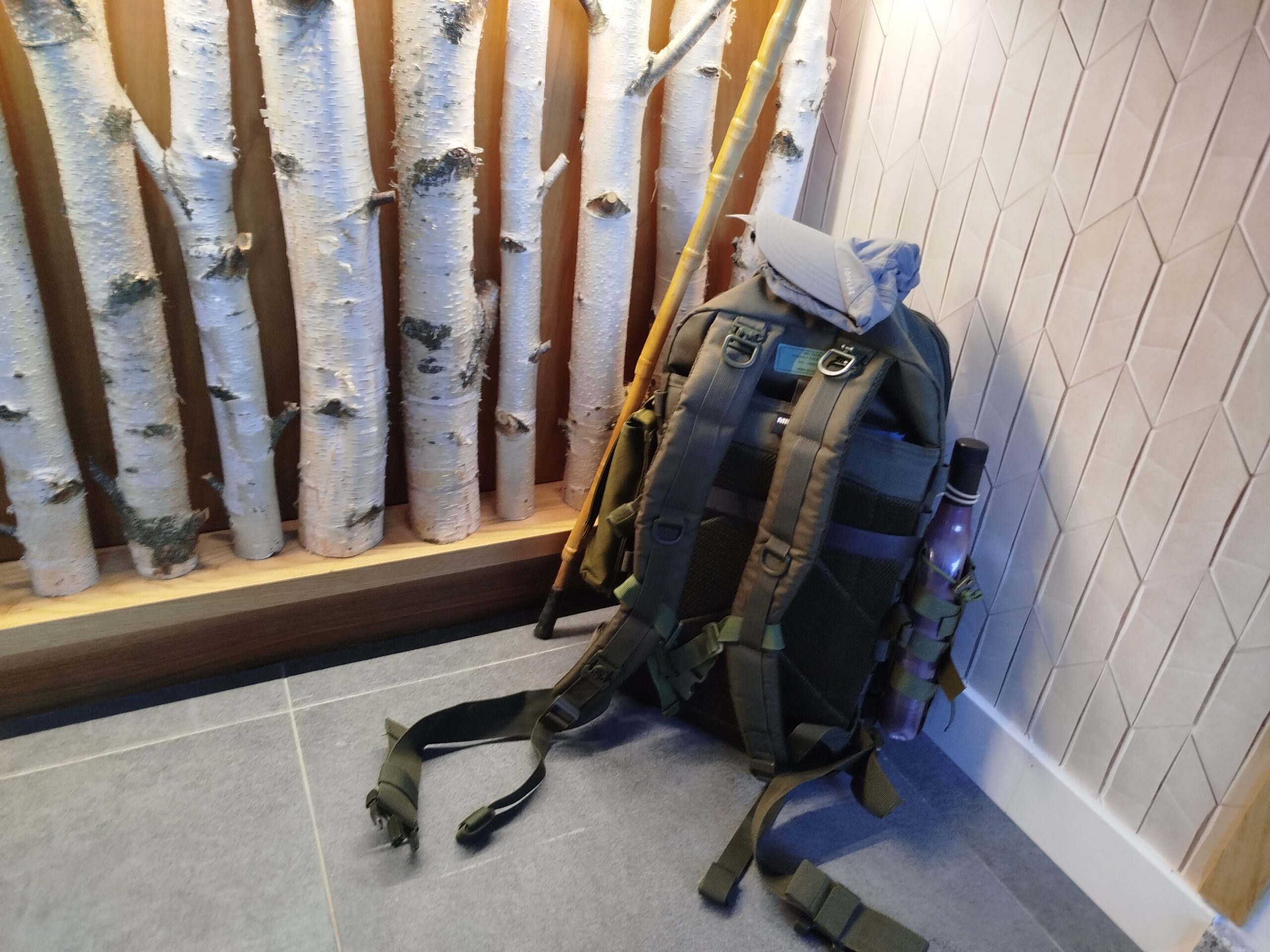 IMG_20250528_081328_1